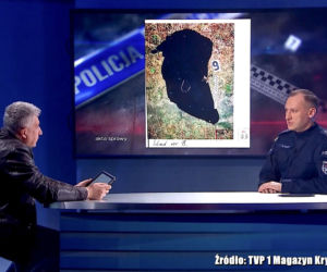 Wyszedł na wódkę i ZGINĄŁ od drewnianego kołka! Archiwum X ujawnia przerażające szczegóły! [ZDJĘCIA]