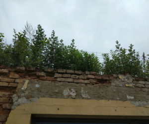 Dziesięć najbardziej wstydliwych miejsc Tarnowa. Niektóre straszą od wielu lat [CAŁA GALERIA]