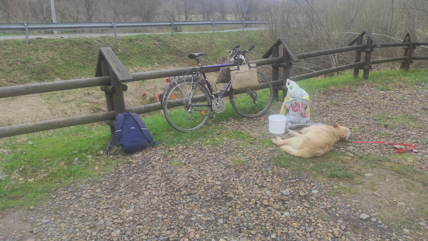 Bieszczady. Weterynarze chcieli pomóc psu, uratowali człowieka [GALERIA]