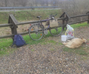 Bieszczady. Weterynarze chcieli pomóc psu, uratowali człowieka [GALERIA]