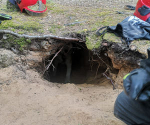 Nietypowa akcja strażaków z Kościana. Pomogli psu, który ugrzązł w norze w lesie