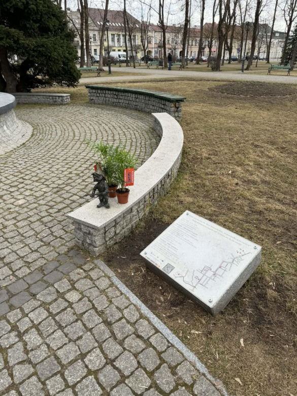 Darmowe palmy na ulicach Suwałk! Niezwykła akcja Radia ESKA