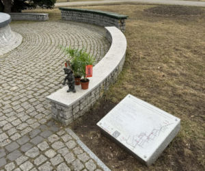 Darmowe palmy na ulicach Suwałk! Niezwykła akcja Radia ESKA