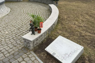 Darmowe palmy na ulicach Suwałk! Niezwykła akcja Radia ESKA