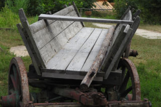 Muzeum Wsi Lubelskiej szuka osób do pomocy. Kto może zostać wolontariuszem?