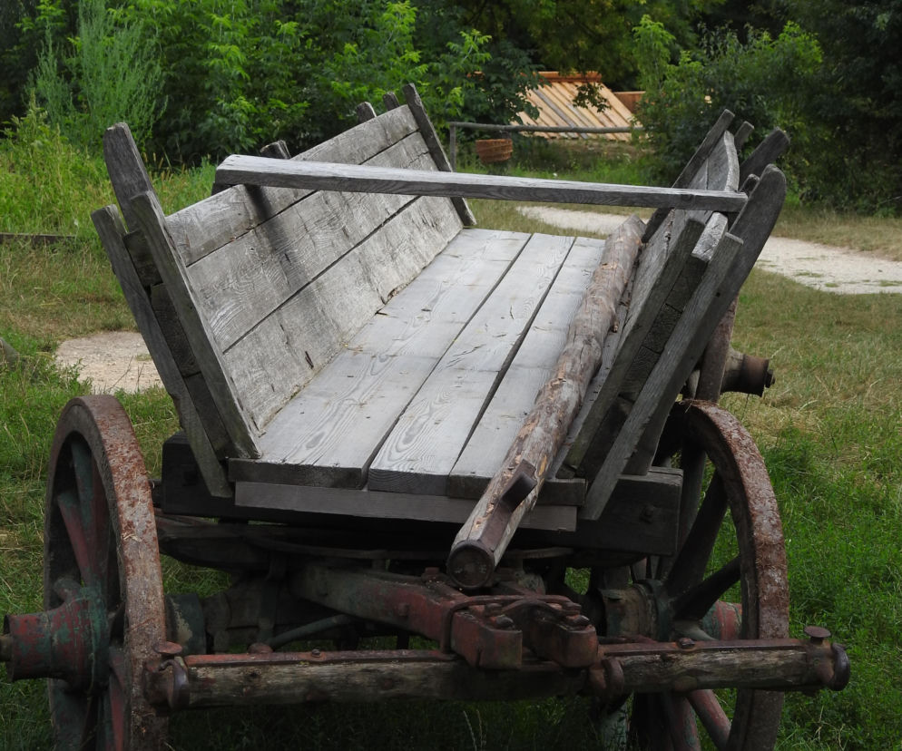 Muzeum Wsi Lubelskiej szuka osób do pomocy. Kto może zostać wolontariuszem?