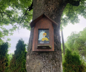 Kolorowe domy inspirowane twórczością Vincenta van Gogha zamieniły wieś liczącą zaledwie stu mieszkańców w prawdziwą atrakcję turystyczną