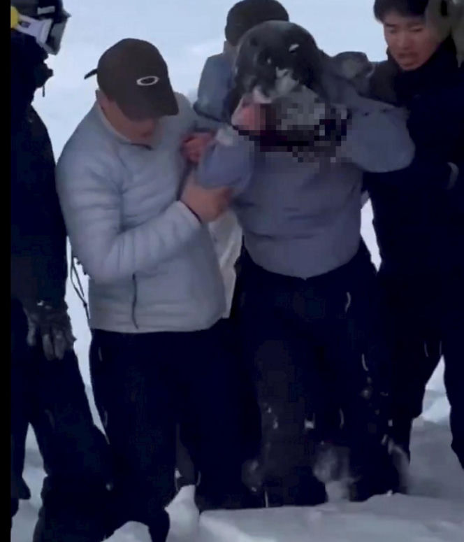 Horror na stoku. Narciarce krew się lała z twarzy. Zaatakował ją drapieżnik!