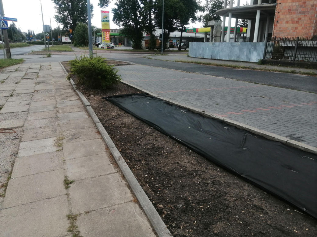 Park kieszonkowy w Siedlcach