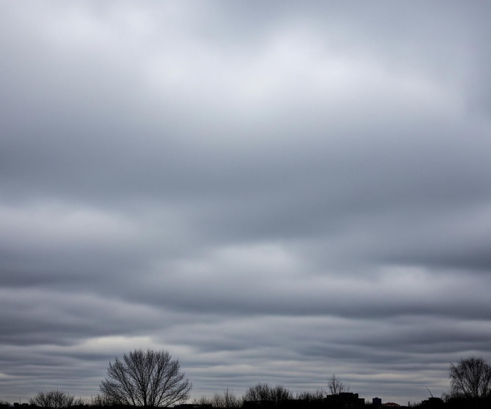 Górne trzy czwarte obrazu wypełnia zachmurzone niebo, charakteryzujące się rozległymi, warstwowymi chmurami w odcieniach szarości, od jasnoszarego u góry, aż po ciemniejsze odcienie w kierunku horyzontu. W dolnej części kadru widoczna jest sylwetka krajobrazu, złożona z nagich drzew o rozłożystych gałęziach, ciemnych krzewów oraz zarysów budynków. Po lewej stronie horyzontu wyróżnia się ciemna wieża z kopulastym dachem, a na środku widać jedno wyraźnie większe, bezlistne drzewo. Cały pejzaż w dolnej części obrazu jest w głębokim cieniu, tworząc kontrast z jaśniejszym, lecz nadal ponurym, niebem.