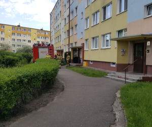 Grudziądzanie przypalali garnki. Dwa pożary w ciagu godziny