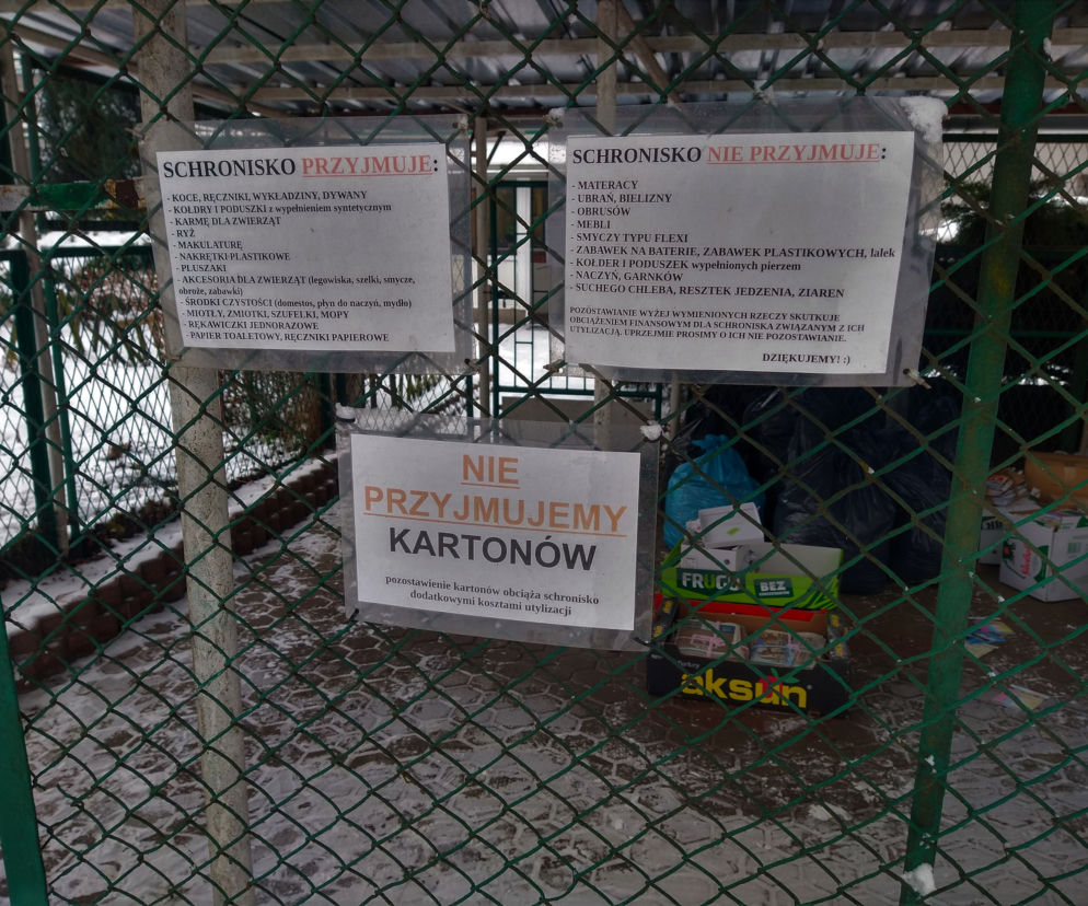 Zima w toruńskim schronisku. Zwierzakom przyda się trochę ciepła [AUDIO]