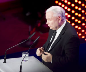 By zostać prezesem,  wpychałem sobie tampony