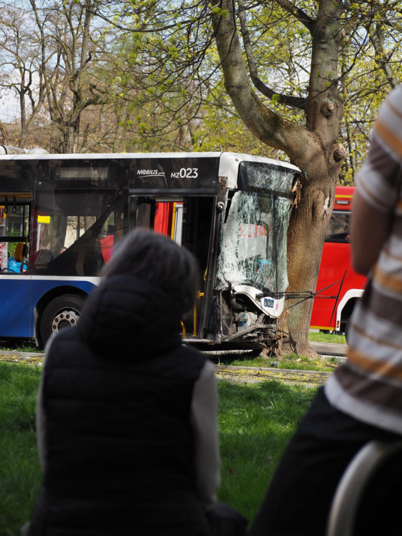 Autobus miejski wbił się w drzewo! Kilkanaście osób rannych