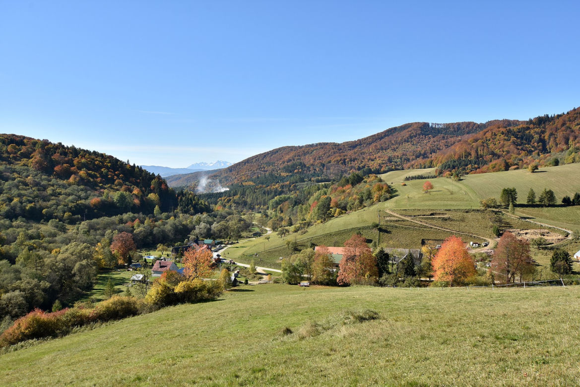 8. Dubne