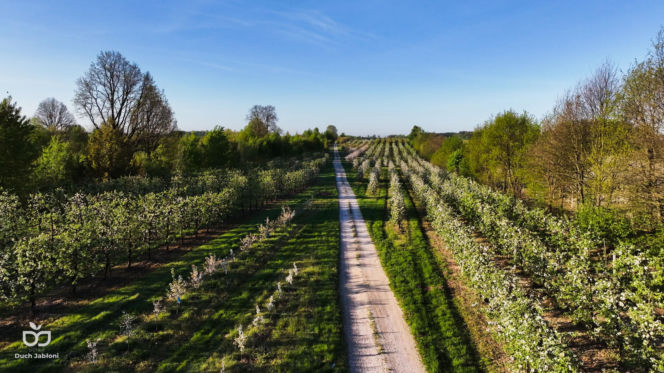 Ultra Duch Jabłoni – nowy ultramaraton kolarski ze startem i metą w Grójcu