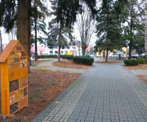 To najpiękniejsze miasteczko województwa łódzkiego. Leży nad jedną z najdłuższych rzek w Polsce