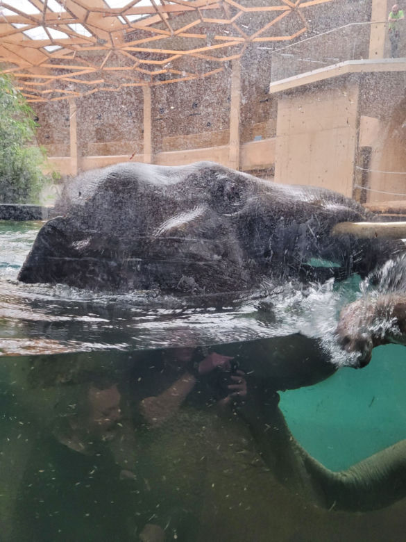 Orientarium Łódź ZOO