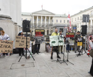 Warszawa. Protest w obronie dzików