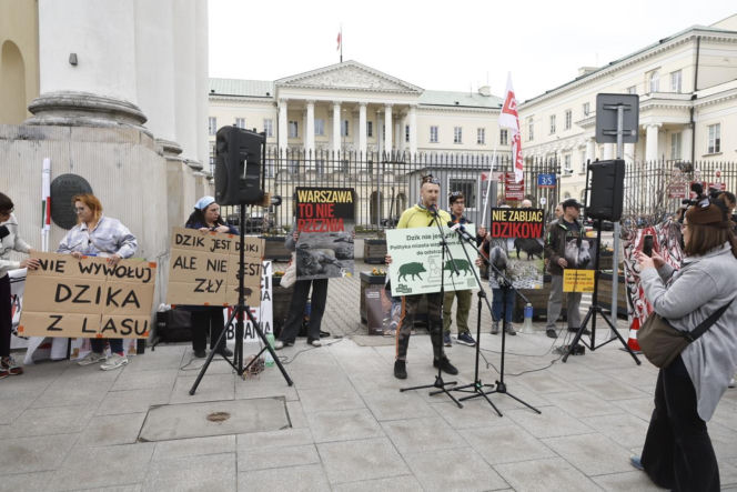Warszawa. Protest w obronie dzików