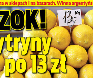 Szok! Cytryny po 13 zł