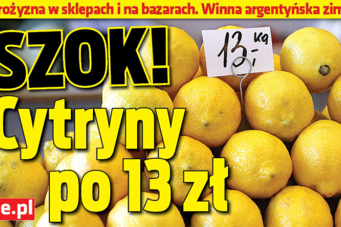 Szok! Cytryny po 13 zł