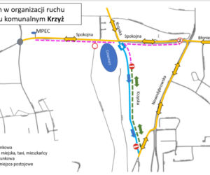 Tarnów. Zmiana organizacji ruchu we Wszystkich Świętych! Sprawdź, jak dojechać do cmentarzy