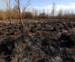 Biebrzański Park Narodowy UGASZONY. Zobacz, jakie zniszczenia spowodował ogień