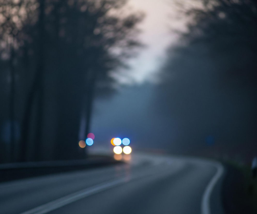 Droga zakręca w prawo, z lewej strony znajduje się rząd wysokich drzew. Po prawej stronie widać słupki drogowe i rozmyte zarysy drzew. Na drodze, z oddali, nadjeżdża samochód, którego światła przednie i tylne są rozmazane, tworząc świetliste punkty w kolorach pomarańczowym, czerwonym i niebieskim. Cała scena jest rozmyta, a dominują ciemne odcienie szarości i błękitu, co sugeruje wczesny poranek lub zmierzch, być może z mgłą.