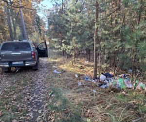Śmieci w lesie
