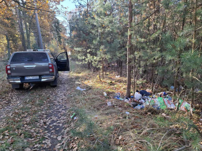 Śmieci w lesie