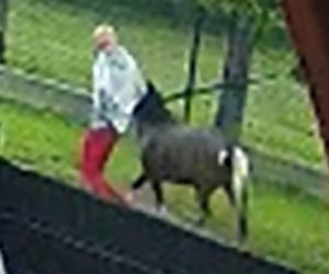 Złodziej w czerwonych spodniach ukradł kucyka