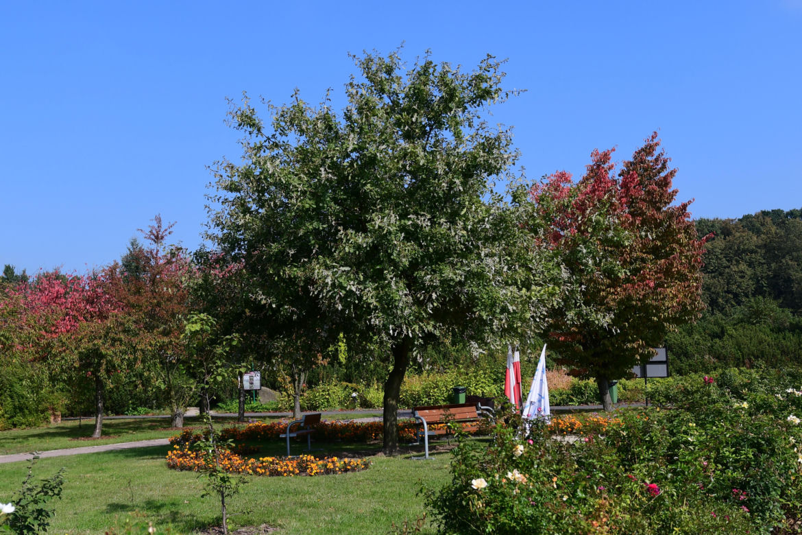 Ogród Botaniczny PAN w Powsinie