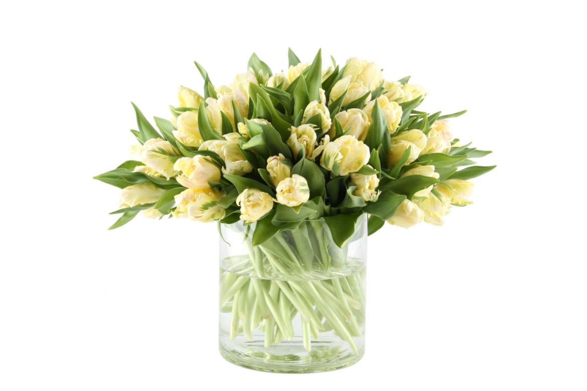 Tulipany