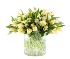 Tulipany