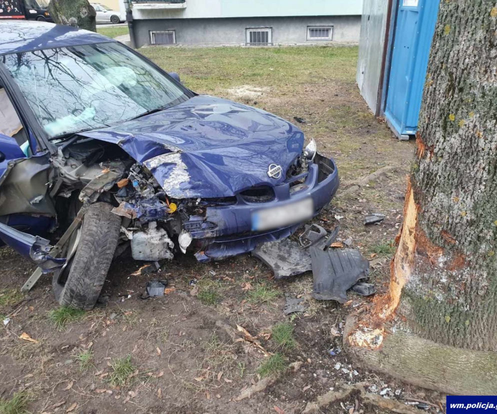 Wypadek w centrum Olsztyna. Złodziej uderzył w drzewo