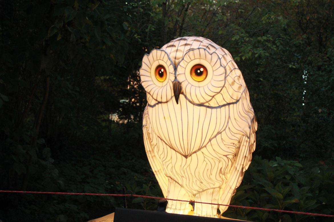 "Garden of Lights" ponownie rozświetlił wrocławskie zoo