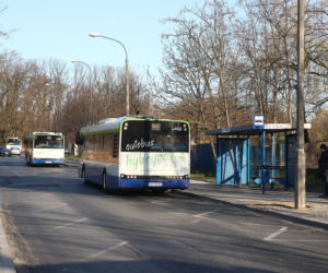 Specjalne autobusy dla medyków w Krakowie