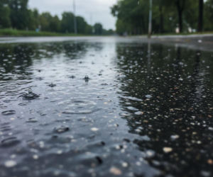 Weekend w Rzeszowie z coraz wyższą temperaturą. Niedziela przyniesie deszcz
