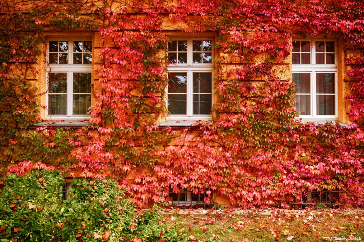Jesień we Wrocławiu