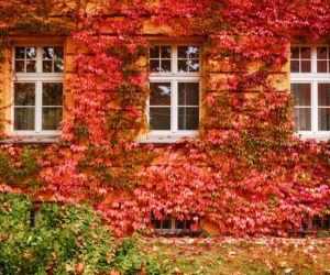 Jesień we Wrocławiu