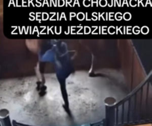Sędzia jeździectwa biła i kopała konia