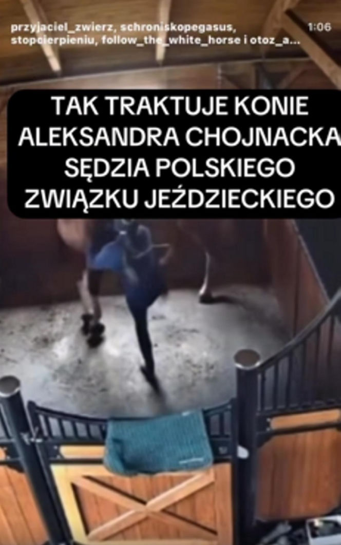 "Sędzia jeździectwa biła i kopała konia"