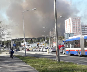 Groźny pożar lasu w bydgoskim Fordonie! [ZDJĘCIA]