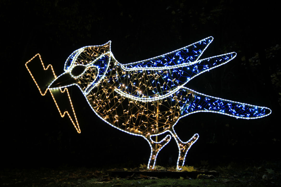 Park iluminacji „Tajemniczy Ogród” w Lublinie