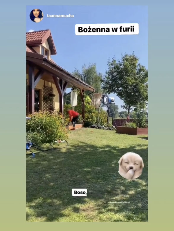 Anna Mucha w furii. Rzuca roślinami i donicą 