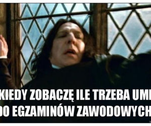 Egzamin zawodowy 2020: MEMY o egzaminie potwierdzającym kwalifikacje zawodowe [ZDJĘCIA]