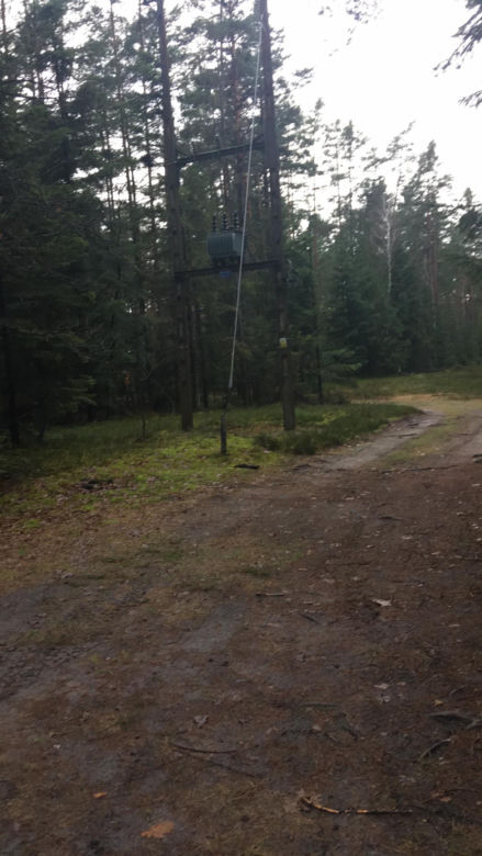 Dąbrowica. Ojciec i 3-letnia córka nie żyją. Zwłoki znaleziono w środku lasu