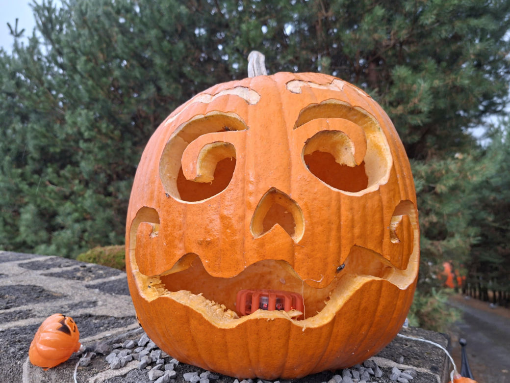 Oto najbardziej halloweenowy dom w Świętokrzyskiem!