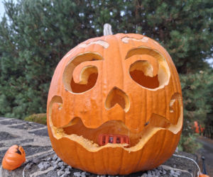 Oto najbardziej halloweenowy dom w Świętokrzyskiem!